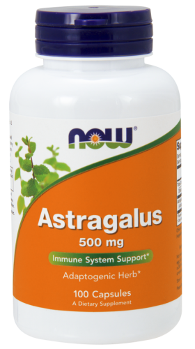 astragalus.png