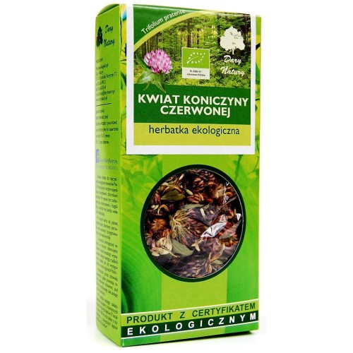 koniczyna czerwona.jpg