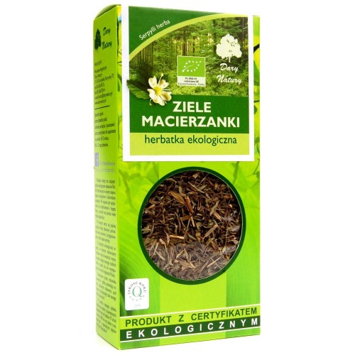 macierzanka.JPG