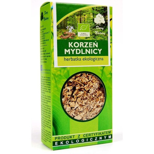 mydlnica korzeń.jpg