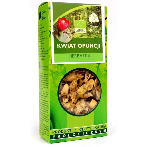 opuncja kwiat.JPG