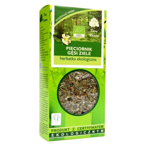 pięciornik gęsi.JPG