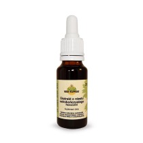 Ekstrakt z rdestu ostrokończystego 20ml (rdest japoński) MEDI-FLOWERY