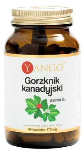 yango gorzknik kanadyjski.jpg